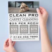 Welpe auf Teppich, Teppichreiniger, Reinigungsserv Flyer (Hand)