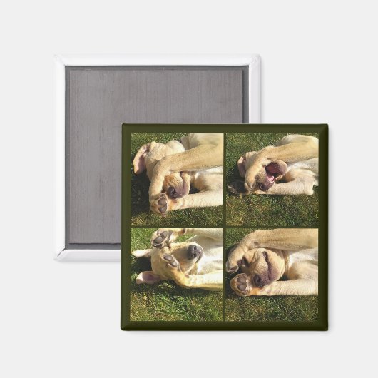 Welpe ausblenden magnet (Vorderseite/Rückseite)