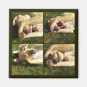 Welpe ausblenden magnet (Vorne)