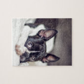 Welpe Bostons Terrier Puzzle (Horizontal)