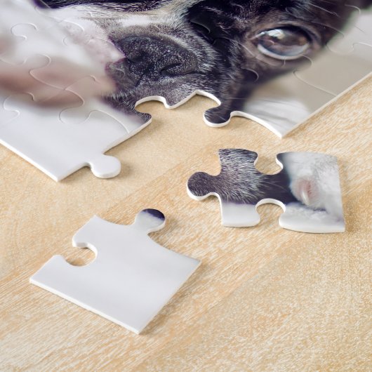 Welpe Bostons Terrier Puzzle (Seite)