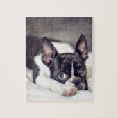 Welpe Bostons Terrier Puzzle (Vertikal)