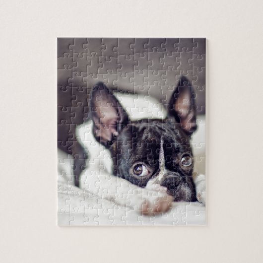 Welpe Bostons Terrier Puzzle (Vertikal)