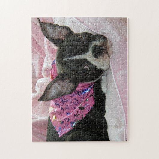 Welpe Bostons Terrier Puzzle (Vertikal)