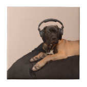 Welpe Bullmastiff Fliese (Vorderseite)
