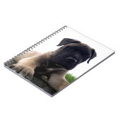 Welpe Bullmastiff Notizblock (Linke Seite)