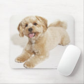 Welpe (Canis familiaris) 2 Mousepad (Mit Mouse)