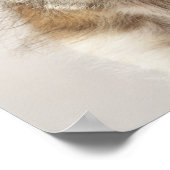 Welpe (Canis familiaris) 2 Poster (Ecke)