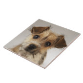 Welpe (Canis familiaris) Fliese (Seite)