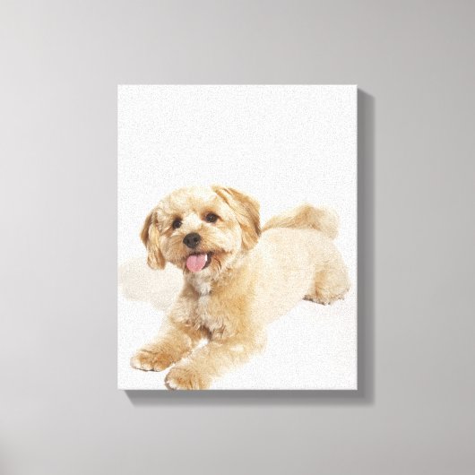 Welpe (Canis familiaris) Leinwanddruck (Vorderseite)