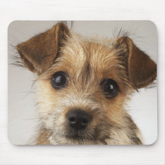 Welpe (Canis familiaris) Mousepad (Vorne)