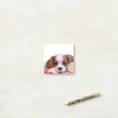 Welpe Cavalier King Charles Spaniel Post-it-Notize Post-it Klebezettel (Auf Schreibtisch)