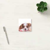 Welpe Cavalier King Charles Spaniel Post-it-Notize Post-it Klebezettel (Büro)
