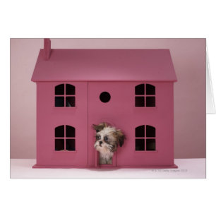 Welpe, der aus dem Haus der Puppe heraus blickt