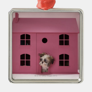 Welpe, der aus dem Haus der Puppe heraus blickt Ornament Aus Metall