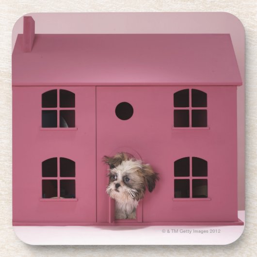 Welpe, der aus dem Haus der Puppe heraus blickt Untersetzer (Vorderseite)
