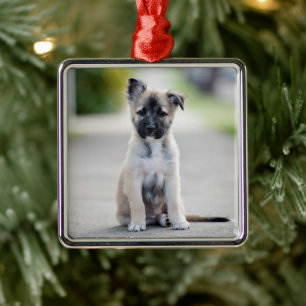 Welpe der deutschen Hirten auf dem Fußweg Ornament Aus Metall