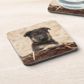 Welpe der deutschen Schäferhirte im Korb Getränkeuntersetzer (Linke Seite)