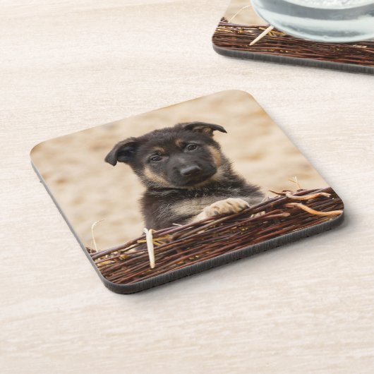 Welpe der deutschen Schäferhirte im Korb Getränkeuntersetzer (Linke Seite)