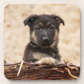 Welpe der deutschen Schäferhirte im Korb Getränkeuntersetzer (Vorderseite)
