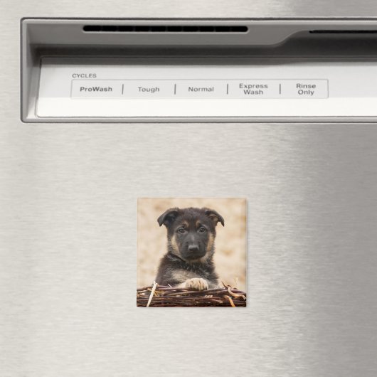 Welpe der deutschen Schäferhirte im Korb Magnet (In Situ (Geschirrspüler))