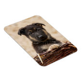 Welpe der deutschen Schäferhirte im Korb Magnet (Rechte Seite)