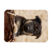 Welpe der deutschen Schäferhirte im Korb Magnet (Horizontal)