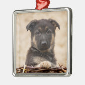 Welpe der deutschen Schäferhirte im Korb Ornament Aus Metall (Links)