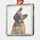 Welpe der französischen Bulldogge (7 Monate alte) Ornament Aus Metall (Links)