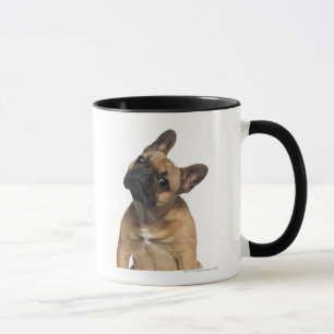 Welpe der französischen Bulldogge (7 Monate alte) Tasse