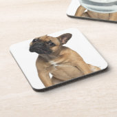 Welpe der französischen Bulldogge (7 Monate alte) Untersetzer (Linke Seite)