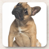 Welpe der französischen Bulldogge (7 Monate alte) Untersetzer (Vorderseite)