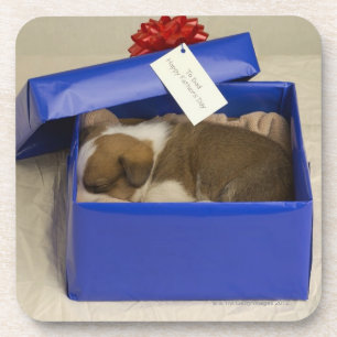 Welpe, der in Geschenkboxen schläft Untersetzer