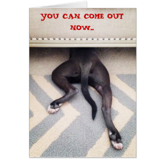 Welpe, der unter Couch sich versteckt