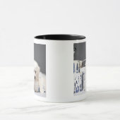 Welpe, der unter Farbenzinn sitzt Tasse (Zentrum)