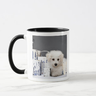 Welpe, der unter Farbenzinn sitzt Tasse
