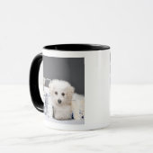 Welpe, der unter Farbenzinn sitzt Tasse (Vorderseite Links)