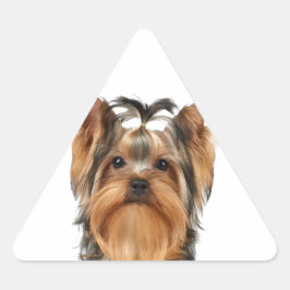 Welpe der Yorkshire Terrier Dreieckiger Aufkleber
