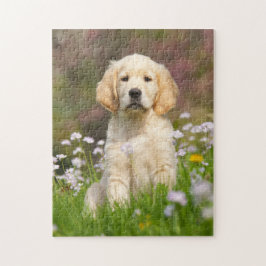 Welpe des goldenen Retrievers ein niedliches Puzzle