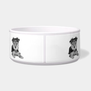Welpe des Yorkshires Terrier Napf