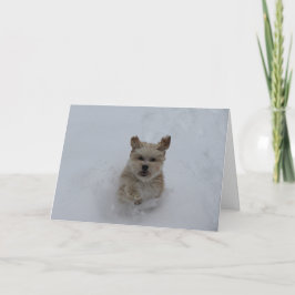 Welpe, die durch die Schneegrüßkarte stolpert Feiertagskarte