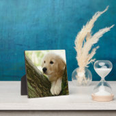 Welpe, die in einem Wald sitzt Fotoplatte (InSitu)