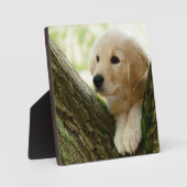 Welpe, die in einem Wald sitzt Fotoplatte (Vorderseite)