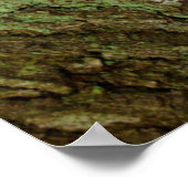 Welpe, die in einem Wald sitzt Poster (Ecke)