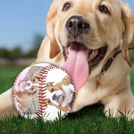 Welpe Dog Foto Collage Keepake Baseball