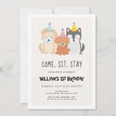 Welpe Dog Gold Glitzer Geburtstag Pawty Einladung (Vorderseite)