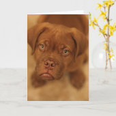 Welpe Dogue de bordeaux Mastiffkarte Karte (Gelbe Blume)