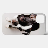 Welpe Edison Boston Terrier Case-Mate iPhone Hülle (Rückseite (Horizontal))