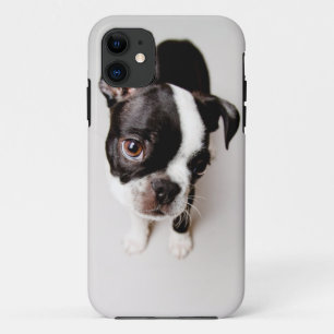 Welpe Edison Boston Terrier Case-Mate iPhone Hülle