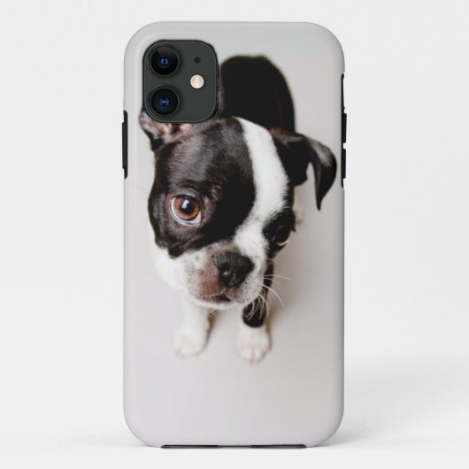 Welpe Edison Boston Terrier Case-Mate iPhone Hülle (Rückseite)